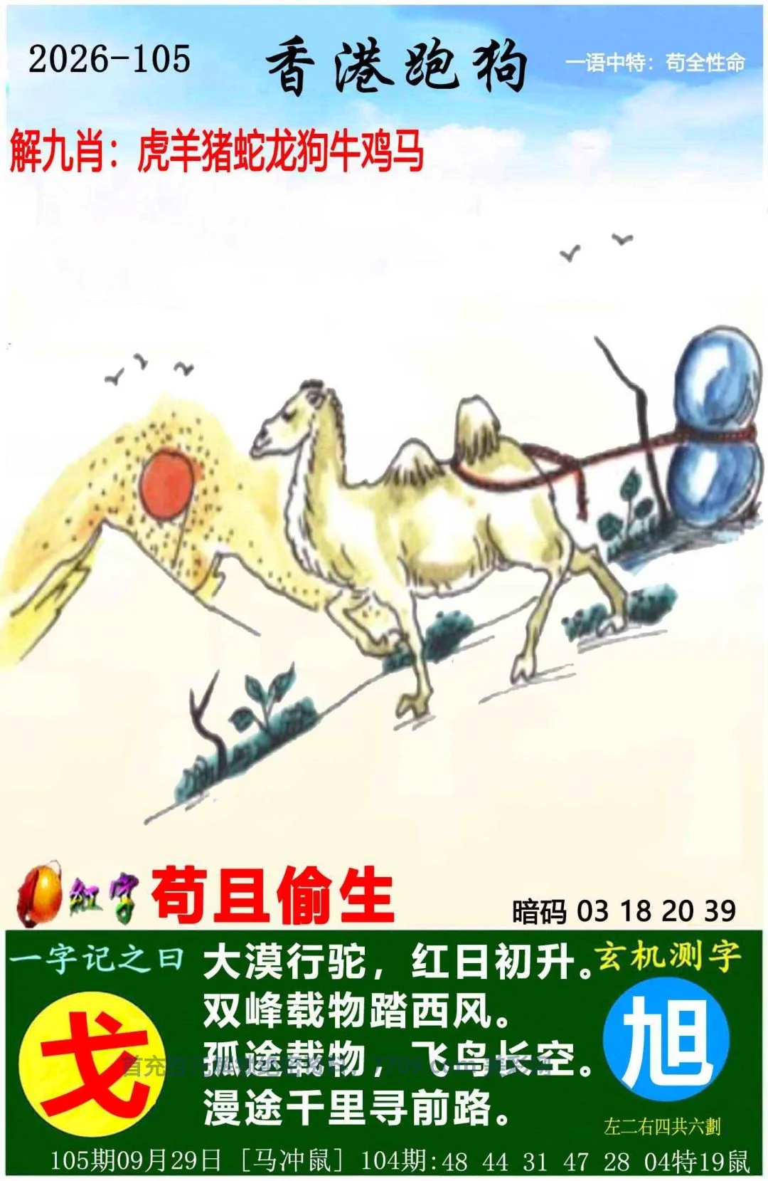 白姐工作室生肖表